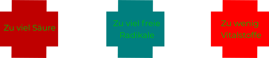 Zu viel Säure  Zu viel freie     Radikale  Zu wenig   Vitalstoffe