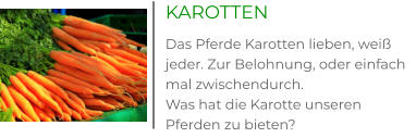 KAROTTEN Das Pferde Karotten lieben, weiß jeder. Zur Belohnung, oder einfach mal zwischendurch.  Was hat die Karotte unseren Pferden zu bieten?