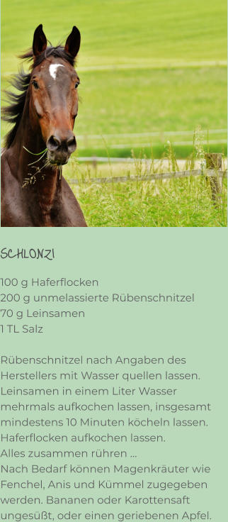 SCHLONZI 100 g Haferflocken 200 g unmelassierte Rübenschnitzel 70 g Leinsamen 1 TL Salz  Rübenschnitzel nach Angaben des Herstellers mit Wasser quellen lassen. Leinsamen in einem Liter Wasser mehrmals aufkochen lassen, insgesamt mindestens 10 Minuten köcheln lassen. Haferflocken aufkochen lassen. Alles zusammen rühren … Nach Bedarf können Magenkräuter wie Fenchel, Anis und Kümmel zugegeben werden. Bananen oder Karottensaft ungesüßt, oder einen geriebenen Apfel.