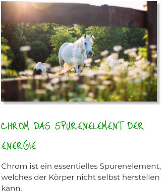 CHROM DAS SPURENELEMENT DER ENERGIE Chrom ist ein essentielles Spurenelement, welches der Körper nicht selbst herstellen kann.