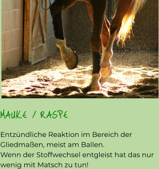 MAUKE / RASPE Entzündliche Reaktion im Bereich der Gliedmaßen, meist am Ballen. Wenn der Stoffwechsel entgleist hat das nur wenig mit Matsch zu tun!